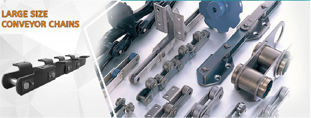 Conveyor Chains C2102HSS C20202 Heavy Duty Double Pitch Stainless Steel Industrial Roller Conveyor Chain