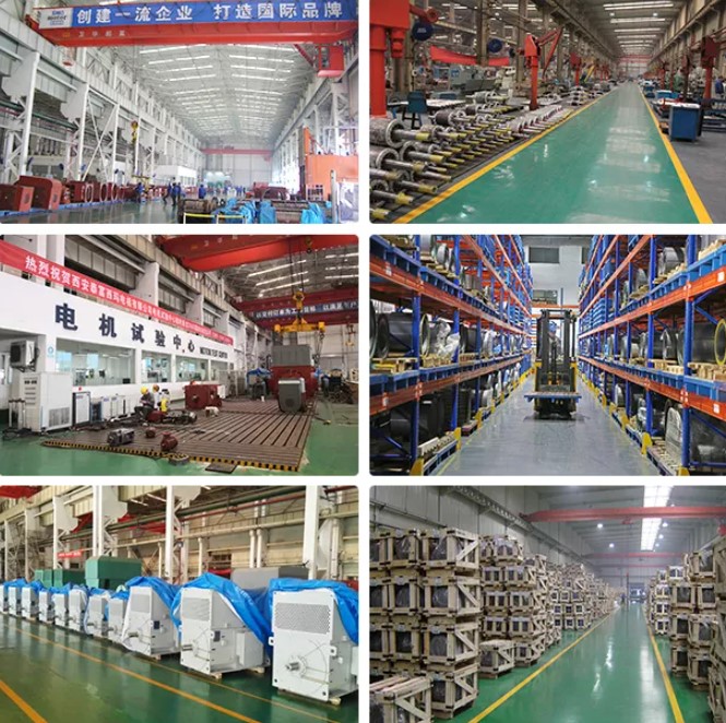 NEMA TENV TEFC IEC Stepper AC IP67 Explosion Proof Waterproof Washdown Stainless Steel Electric Motor for Food Processing Plant