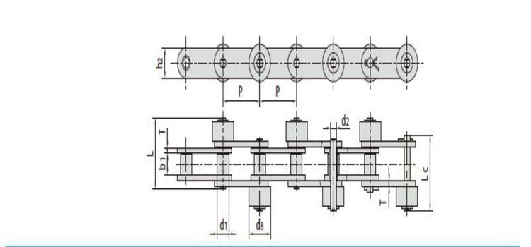 New Design Stainless Steel Chain
High-quality Outboard Roller
Customized Conveyor Chain with Low Price