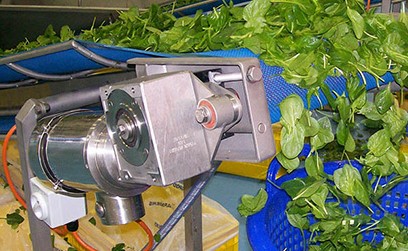 NEMA TENV TEFC IEC Stepper AC IP67 Explosion Proof Waterproof Washdown Stainless Steel Electric Motor for Food Processing Plant