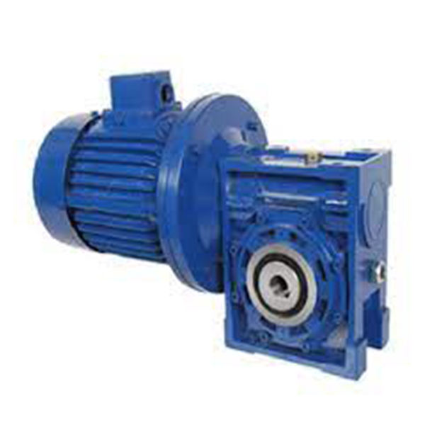 Factory Aluminum Housing Transmission Reduction Worm Gear Nmrv Gearbox with AC Electric Motor for Manufacturing Plant
