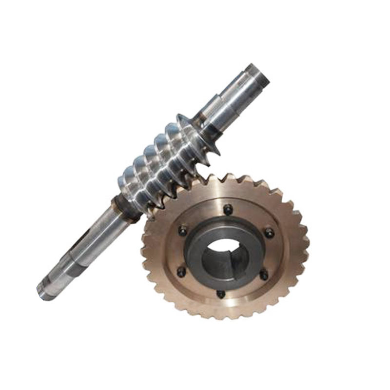 Professional Cheap Worm Precision Reduction Worm Gear Transmission Speed Reducer Copper Worm Gear Wheel and Shaft