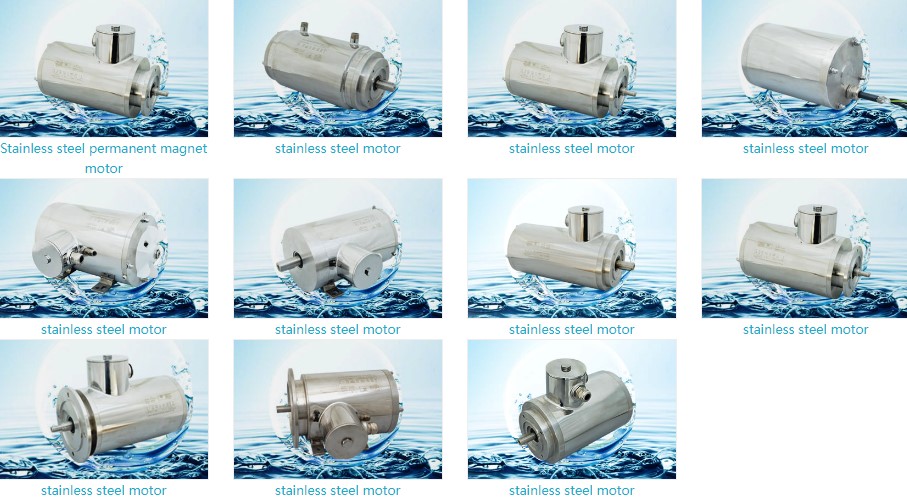 NEMA TENV TEFC IEC Stepper AC IP67 Explosion Proof Waterproof Washdown Stainless Steel Electric Motor for Food Processing Plant