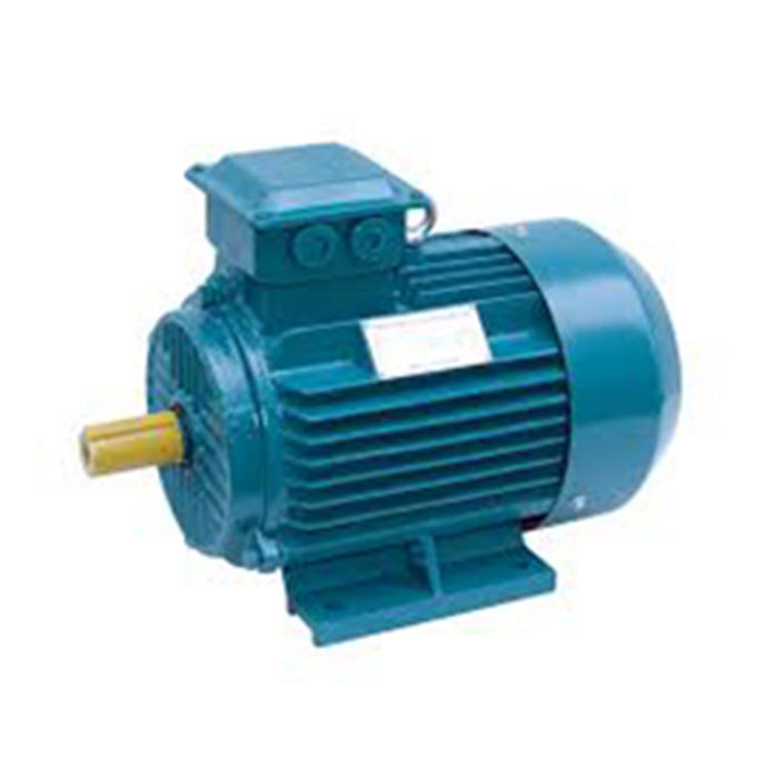 YC Series Electric Motors for Family Workshop