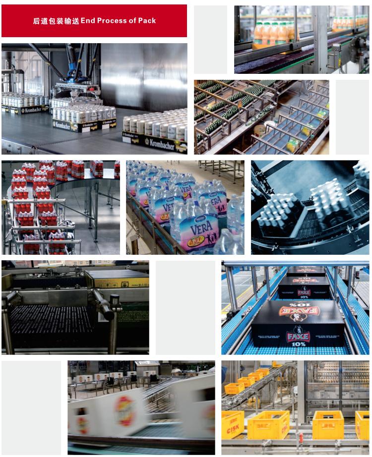 880 Series Vacuum Type Flat Top Straight Chain Plastic Chain for Sale