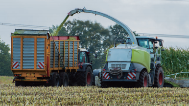 Agricultural Machinery Spare Parts Forage Harvester Blades for Sale