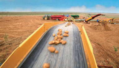 Chinese Manufacturers Agricultural Machinery Potato Conveyor Chains