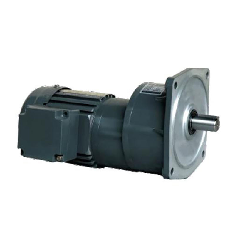 High Ratio Light Duty Ac Servo Electric Motor Drive Vertical/Horizontal 3-Phase Brake Motor With Aluminum/Steel Plate