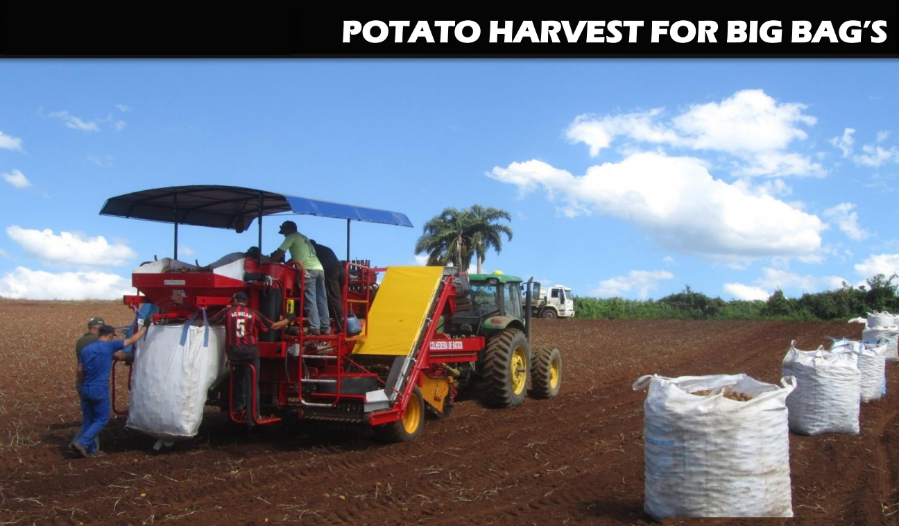 CWB-2L New Potato Harvester with 2-5 Km/h Working Speed for Carrots and Onions Core Components Include Bearings