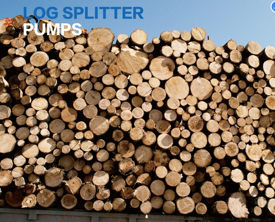 Log Splitter Pumps 2.5/20 Mpa Right Clockwise Highest Rotational Speed 3600r/min Hydraulic Pumps for Sale