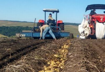 AWB-1600BAR 2 ROWS Potato Harvester 1350kg Trailed Potato Diggers for Carrots, Garlic or Onions Without Damage
