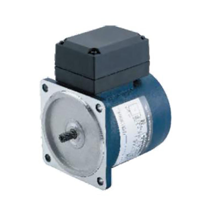 High Torque Low Power Gear Motor Multi-function AC Electric Motor 3-phase Micro Reduction Motor with Reducer