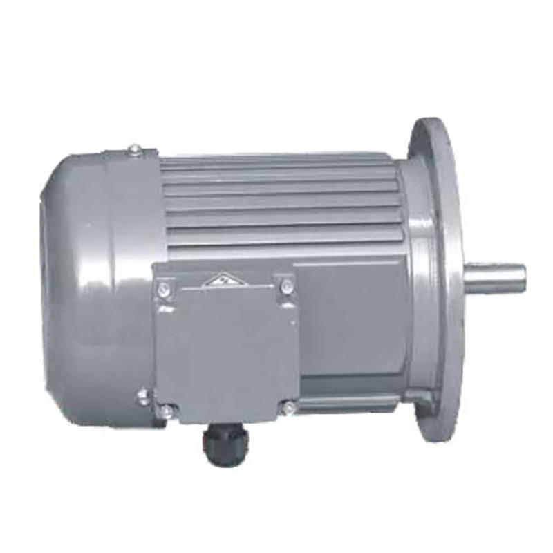 General Models Compact Aluminum Vertical 3-Phase Brake Motor