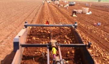 AWB-1600AAR 2 ROWS No Damage Potato Harvester 1150kg Trailed Potato Diggers for Carrots, Garlic or Onions