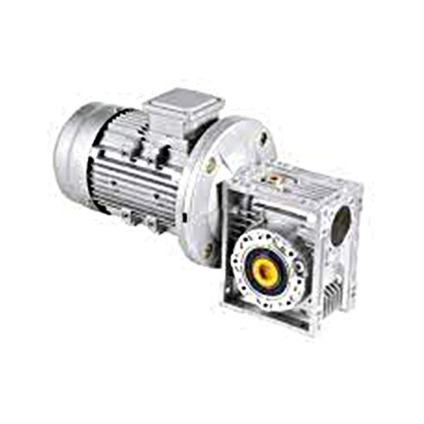 High Torque Three Phase AC DC IEC Electric Motor with Worm Reducer Gearmotor