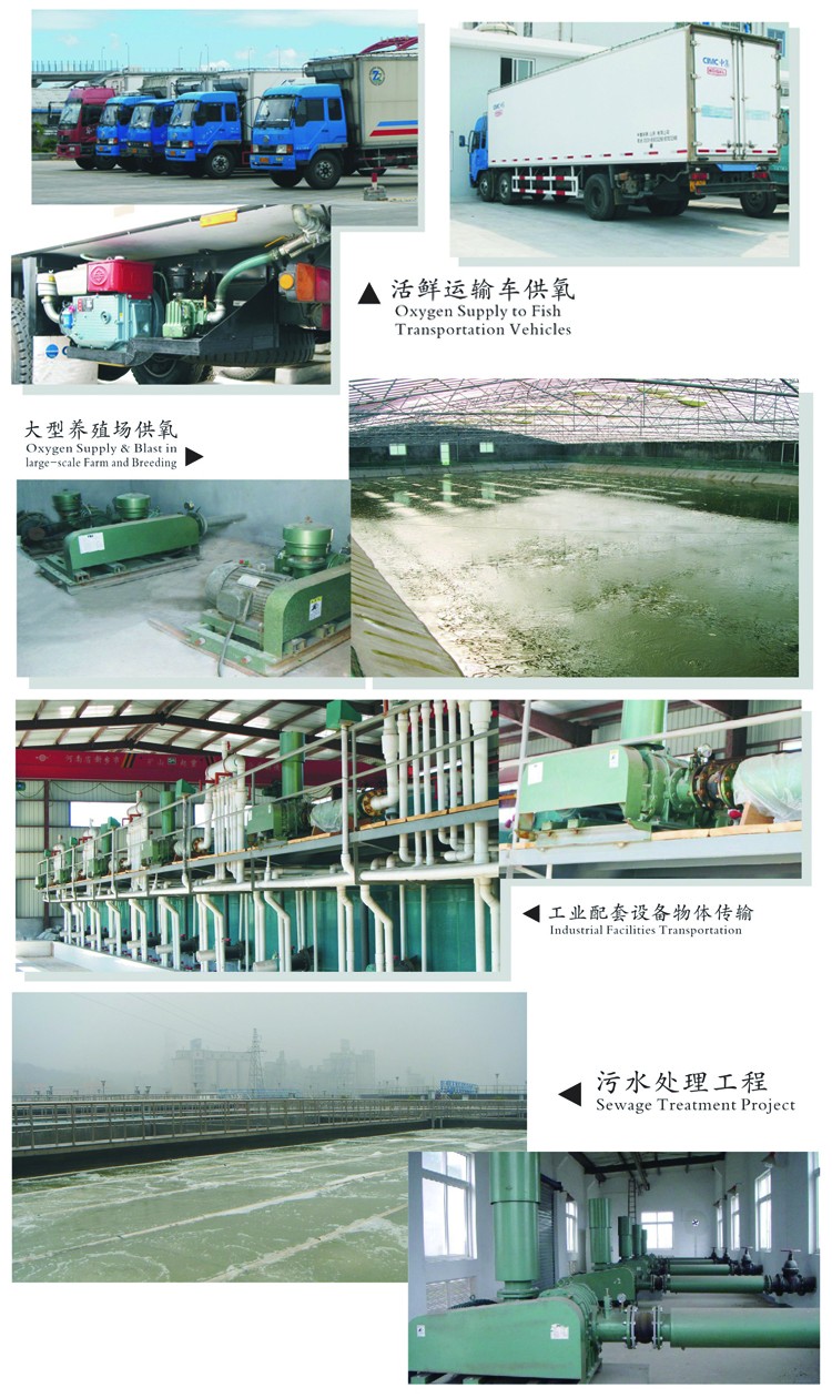 Hot Sale Quality Mask Machine Suction Feeder Non Woven Fabric Industrial Roots Blower