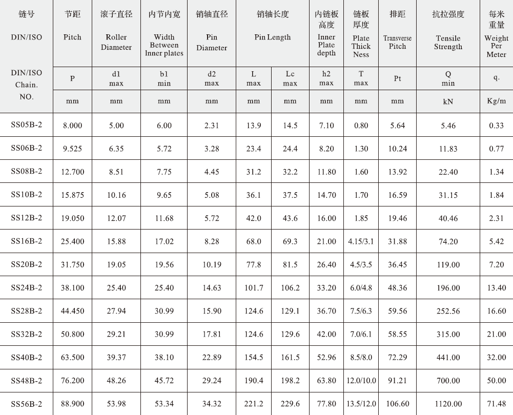 SS10B-2 B Series Stainless Steel Short Pitch Precision Duplex Roller Chain and Sprockets for Restaurant Industries