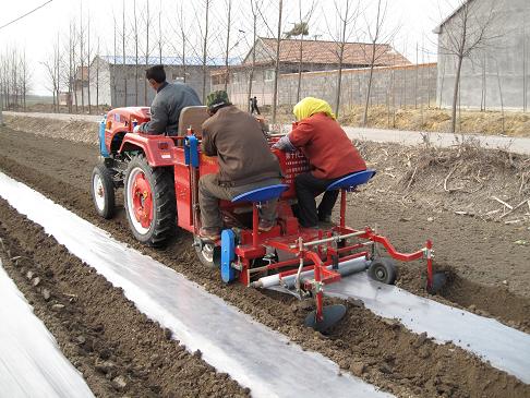 Farm Tools 1 Row Potato Planter for Sale