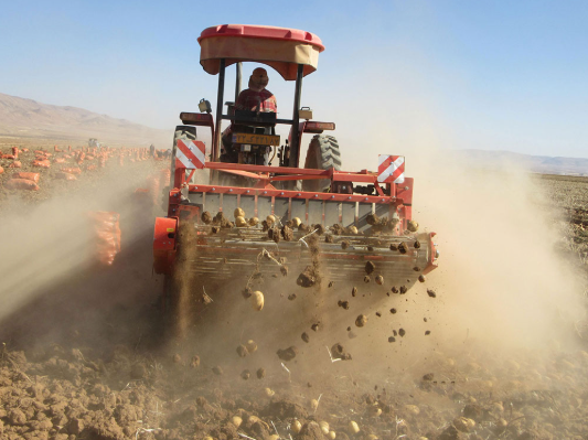 AWB-1600BAR 2 ROWS Potato Harvester 1350kg Trailed Potato Diggers for Carrots, Garlic or Onions Without Damage