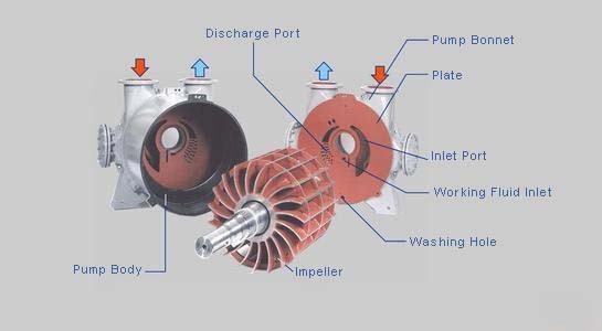 Portable Single Stage 2bv Series Liquid Circulating Water Ring Vacuum Pump With Ejectors