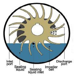 Vacuum Pump Replacement KINNEY KLRC100 KLRC125 KLRC200 KLRC300 KLRC525 Two Stage Water-ring Vacuum Pump