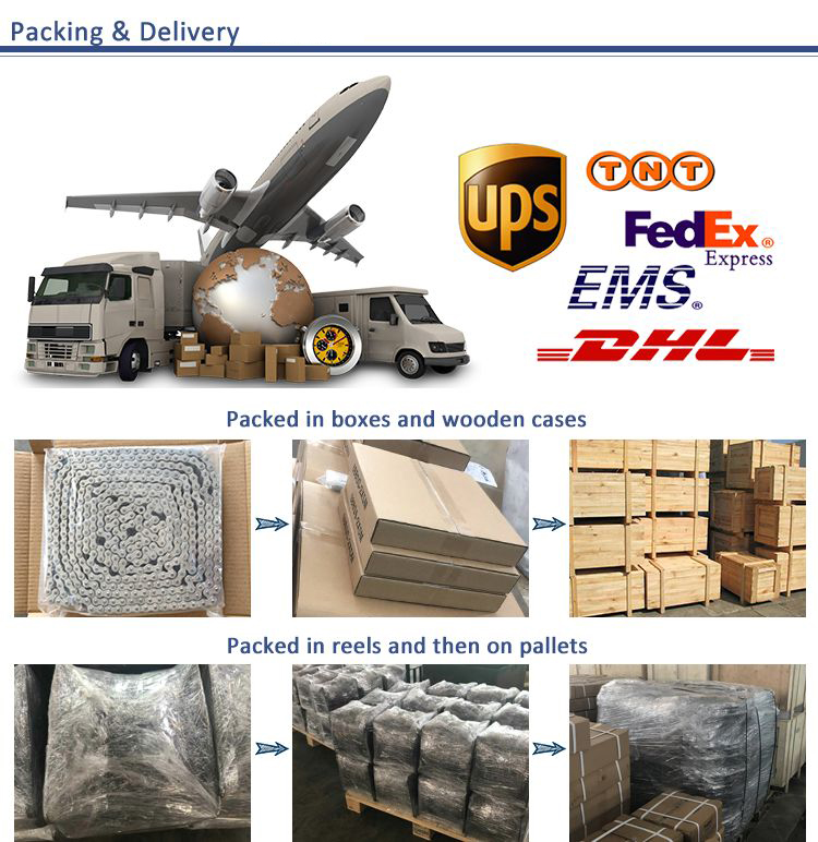 BL Series Stainless Steel Leaf Chain and Sprockets SSLH4046 SSBL2046 for Restaurant Industries