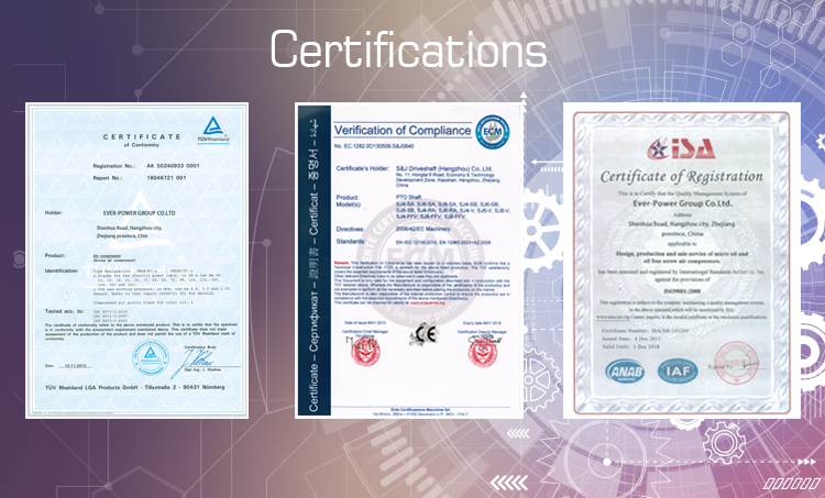 Gripper Chain for Plastic Film Conveying 42PZ 52PZ 62PZ 1843