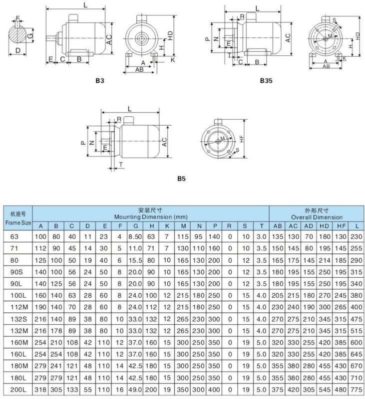 Y2 Three Phase AC Electric Motor