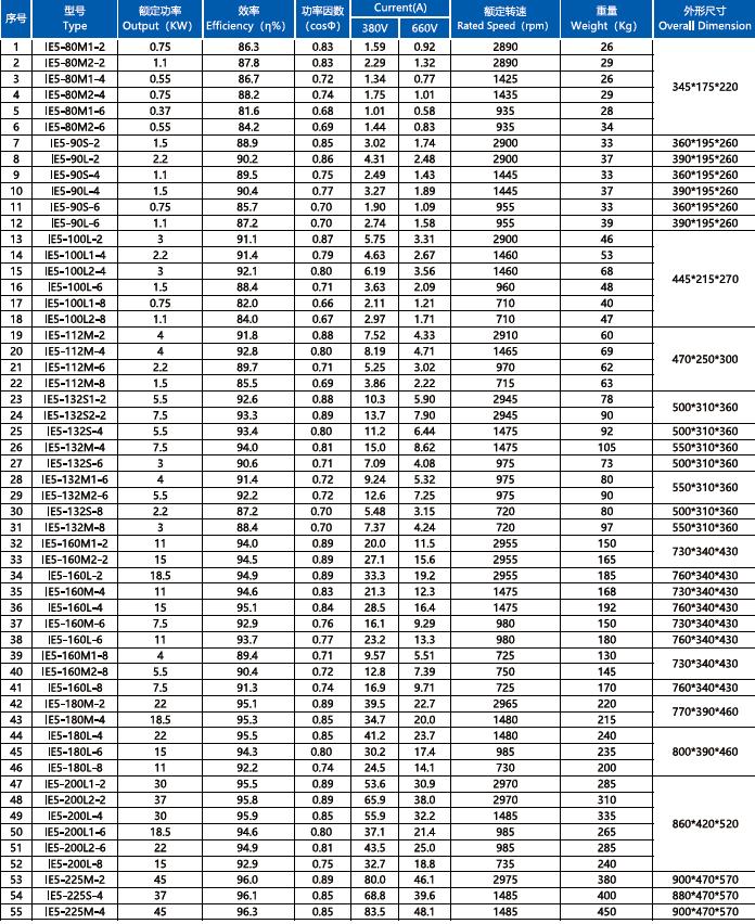 Industrial AC Electric Motor IE5 Three-phase Asynchronous Vacuum Motor