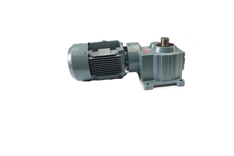 SWL Screw Worm Gear Lifting Mechanism