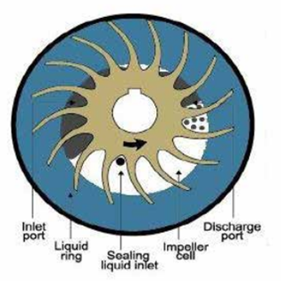 Vacuum Pump Replacement KINNEY KLRC100 KLRC125 KLRC200 KLRC300 KLRC525 Two Stage Water-ring Vacuum Pump