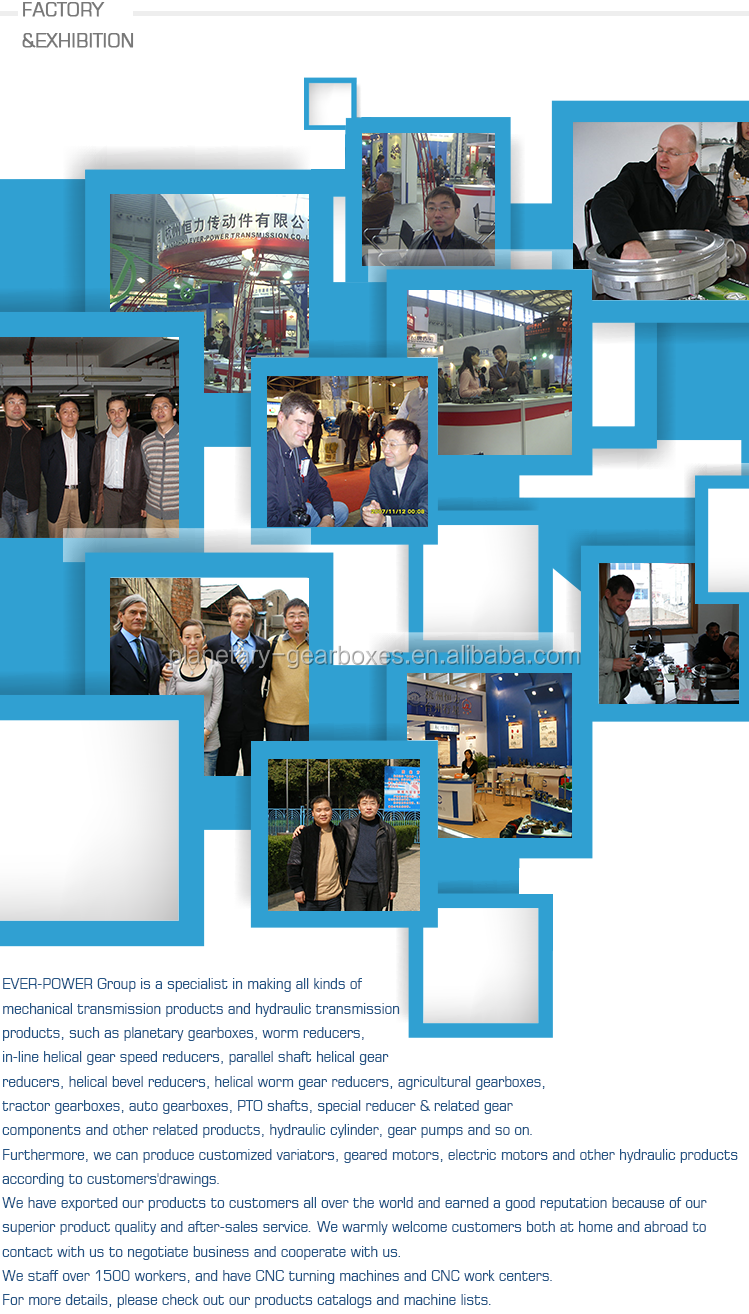 SWL screw jack for lift system power transmission 180 ratio reduction gearbox shaft mount reducer bevel helical gear unit