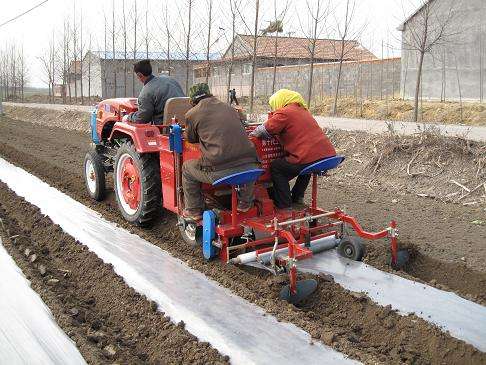 Shandong Sales 3 Point Hitch Potato Planter