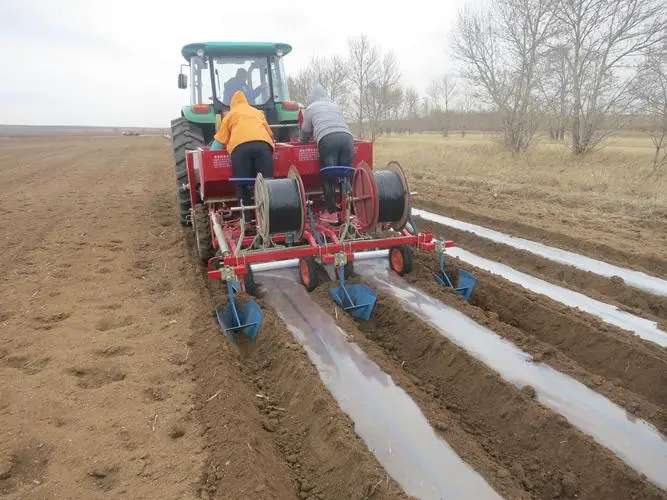 New 2 Row Potato Planter Machine High Productivity Farming Equipment with Core Bearing Components