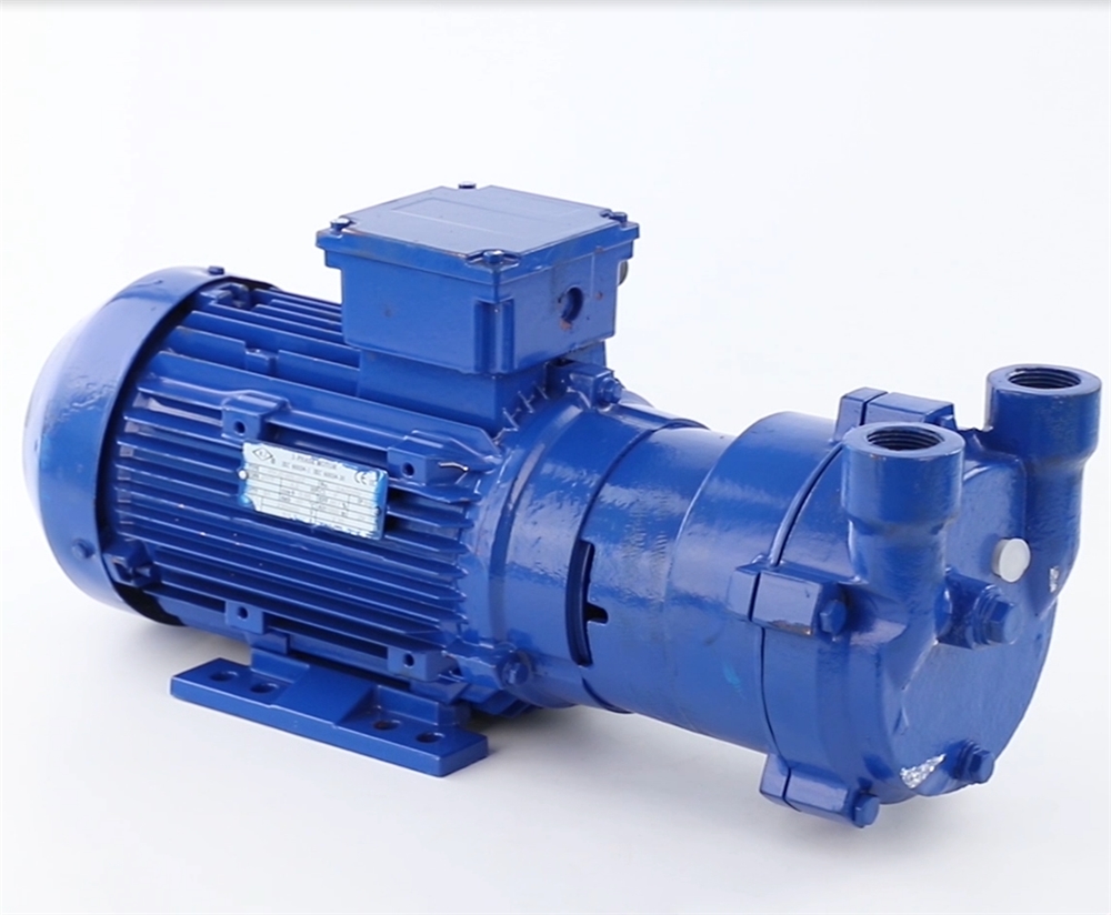 Portable Single Stage 2bv Series Liquid Circulating Water Ring Vacuum Pump With Ejectors