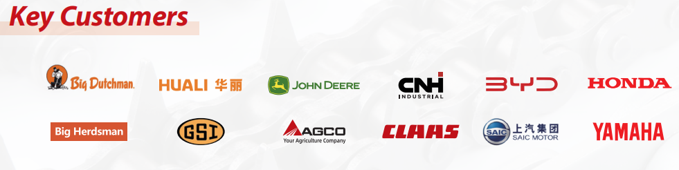 Agricultural Machinery Chains for Rotary Tiller