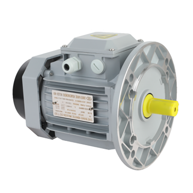Low Noise B5 Vertical IP55 protection Aluminum Shell Three-phase Asynchronous Motor Form Fans Water Pumps