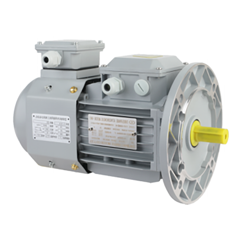 YVF Series B5 Vertical Strong Power Smooth Operation Three-phase Variable Frequency Speed Motor for Sale