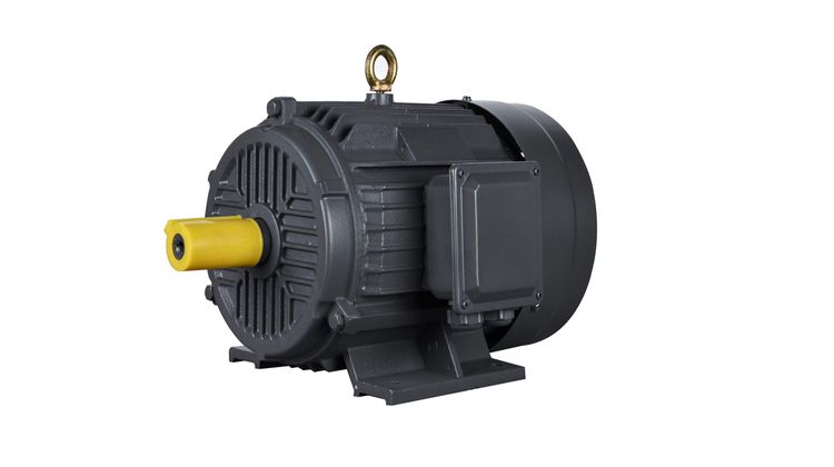 YE4 Series High-Efficiency IE4 Squirrel Cage Three-Phase Induction Motor for Drive Blowers/Compressors