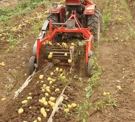 Customized Good Quality 4U-900 25-50hp 2-row One Row Potato Harvester for Sale