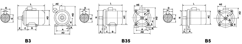 YC/YCL Series High Staring Torque Smooth Turning Low Noise Heavy-Duty Single-Phase Capacitors Start Induction Motor