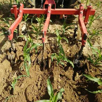 2021 New Type Farm Cultivator Motocultor