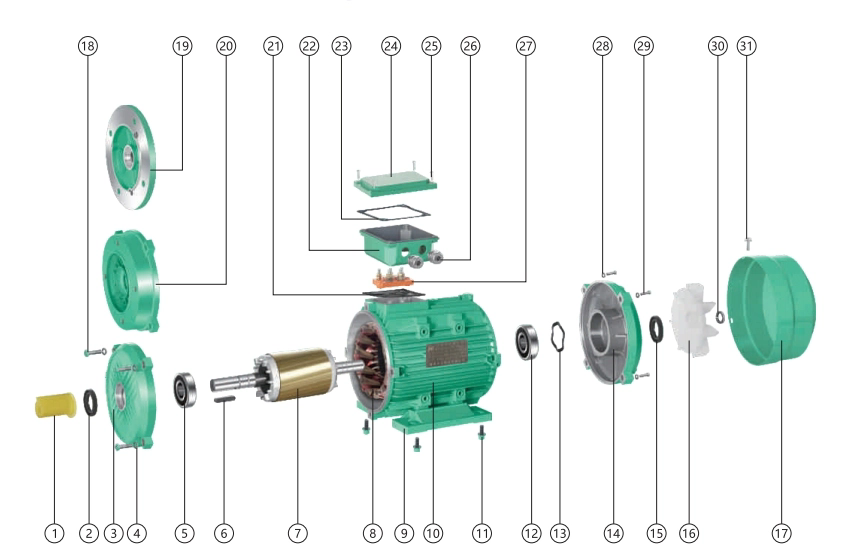 MS Series High-Efficiency Low Power Consumption Low Noise Three-Phase Asynchronous Motor With Aluminium Housing
