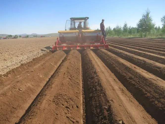 2021 New Type Farm Cultivator Motocultor