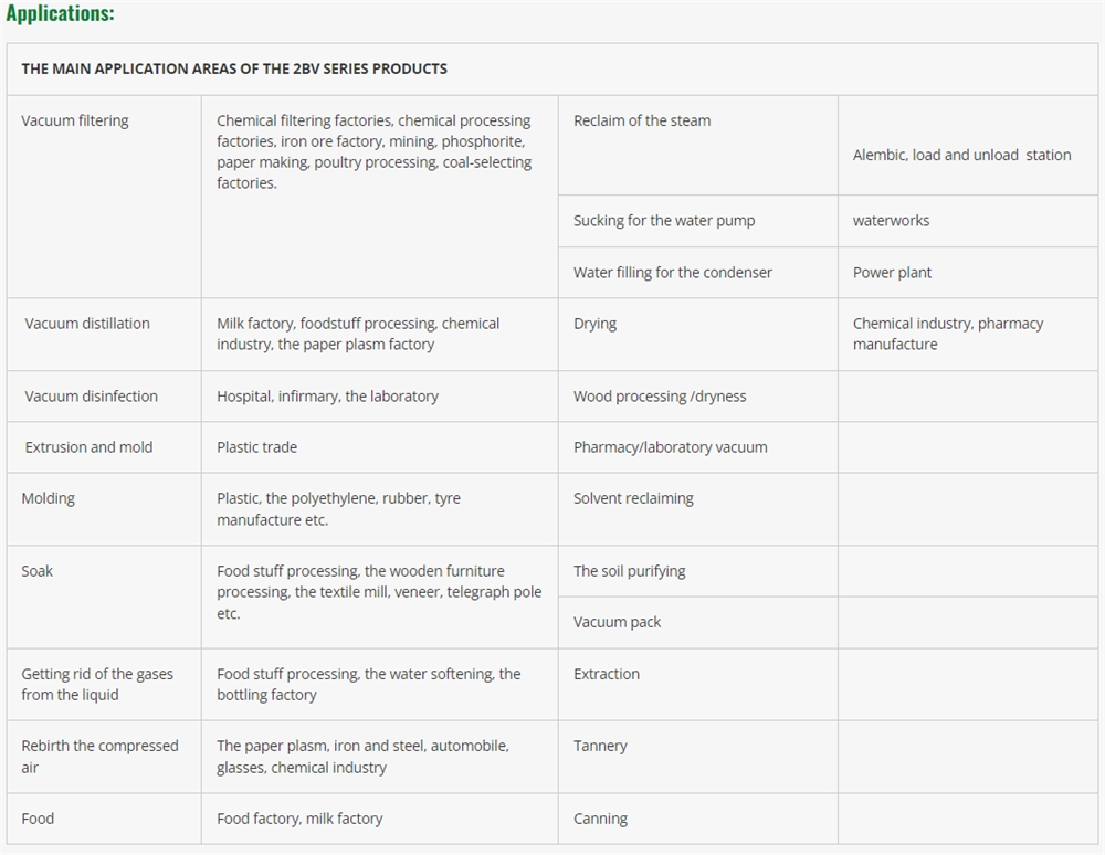 Professional 2bv Series Stainless Steel Single Stage Water Ring Vacuum Pumps with Low Price