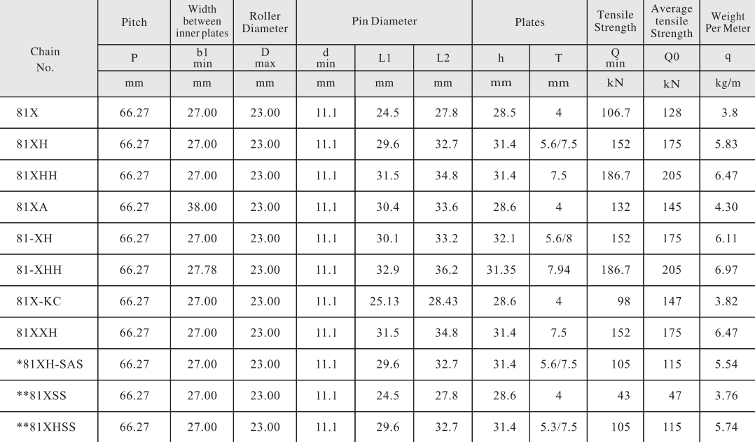 81XSS Stainless Steel Transmission Chains 66.27mm Pitch for Restaurant Industries & Lumber Conveyance