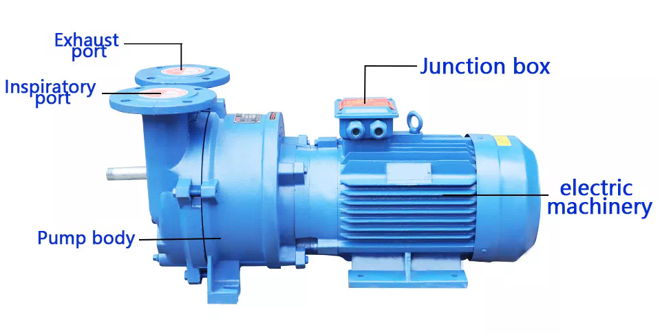 Professional 2bv Series Stainless Steel Single Stage Water Ring Vacuum Pumps with Low Price