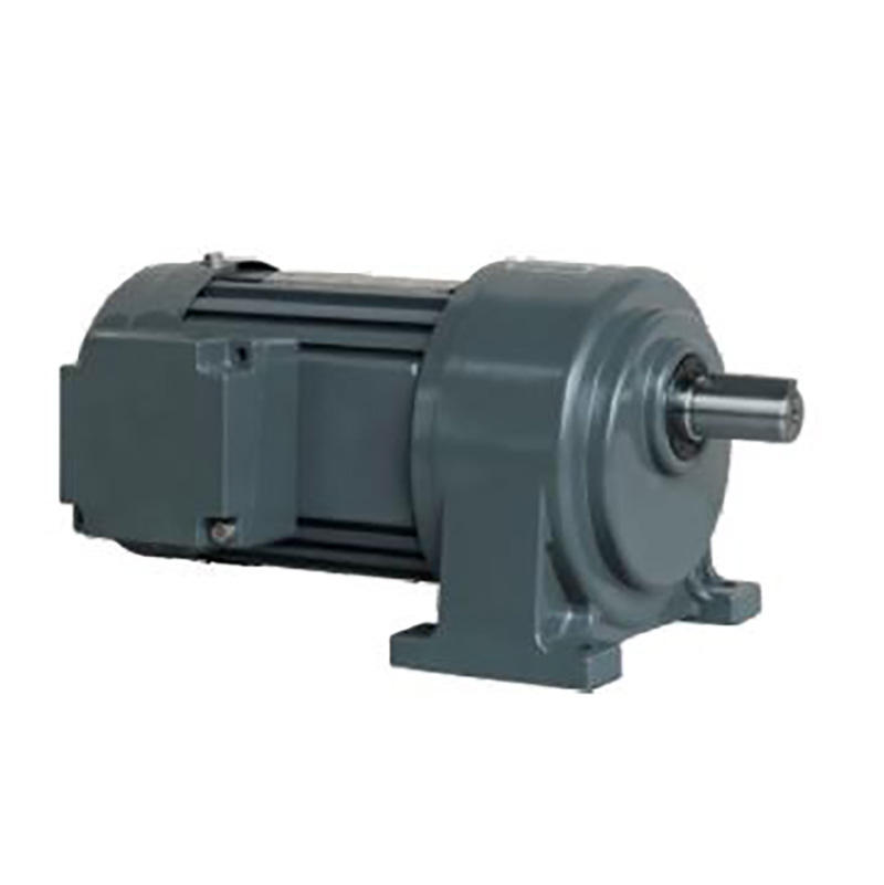 Industrial Horizontal/Vertical AC Motor Aluminum/Steel Plate Light Duty Type 3-Phase Brake Motor