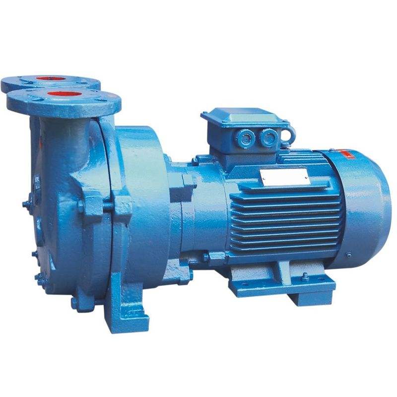 Professional 2bv Series Stainless Steel Single Stage Water Ring Vacuum Pumps with Low Price