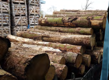 Agricultural Spare Parts Chains for Wood Conveyor